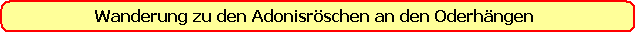 Wanderung zu den Adonisr�schen an den Oderh�ngen